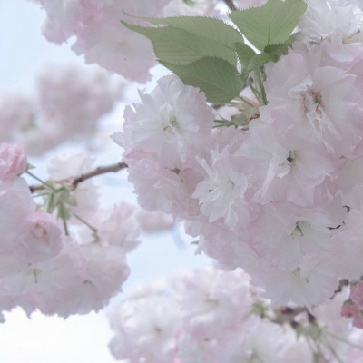 斗门FurryQQ群介绍